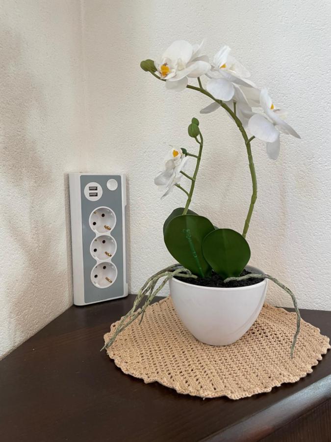 Haus Wittig Apartment Sankt Ulrich am Pillersee Bagian luar foto